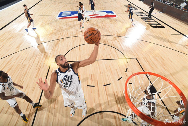 后侧野区形 后侧野区形